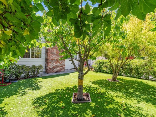 225 W Meadow Drive, Palo Alto CA 94306