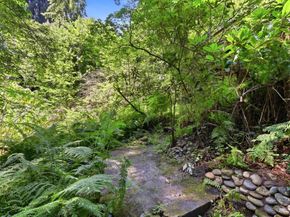106 Carbonera Drive, Santa Cruz CA 95060