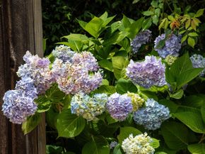 1445 Valparaiso Avenue, Menlo Park CA 94025