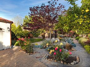 1234 Naglee Avenue, San Jose CA 95126