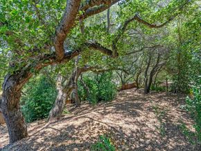 117 Club Drive, San Carlos CA 94070