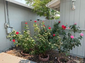 1281 Traynor Road, Concord CA 94520