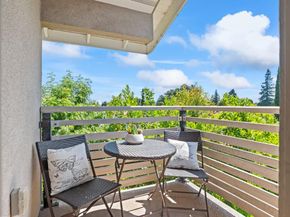411 Brassinga Court, Palo Alto CA 94306