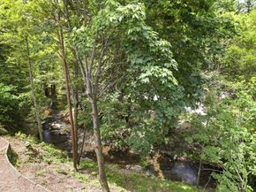 16165 Highway 9, Boulder Creek CA 95006