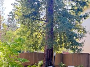 101 2nd Street 5, Los Altos CA 94022
