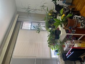 3613 Paulding Avenue, Bronx NY 10469