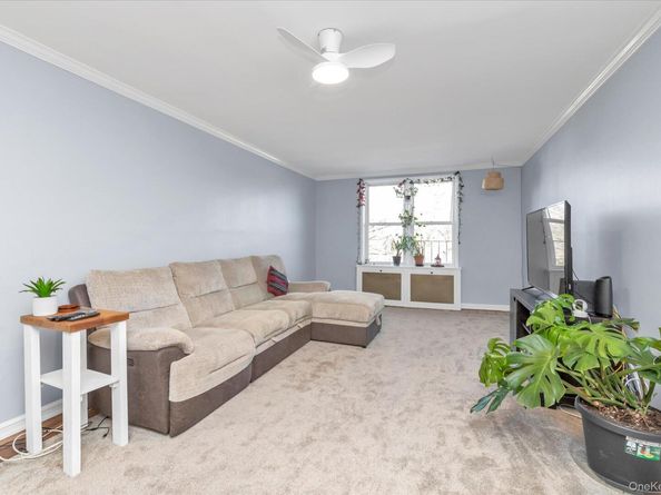 44-20 Douglaston Parkway 6B, Douglaston NY 11363