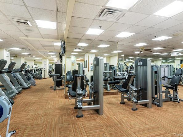 169-10 Grand Central Parkway 8Y, Floral Park NY 11005