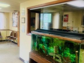 10922 Myrtle Avenue, Richmond Hill North NY 11418