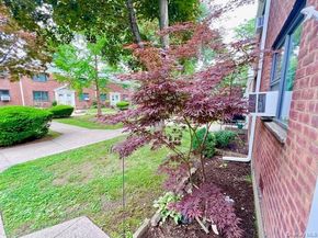 220-34 67 Avenue 2Levels, Bayside NY 11364