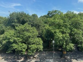 478 CENTRAL Park W 5B, New York (Manhattan) NY 10025