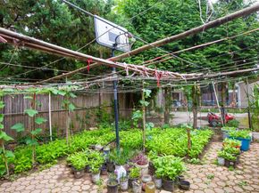 6 Walnut Place, Great Neck NY 11021