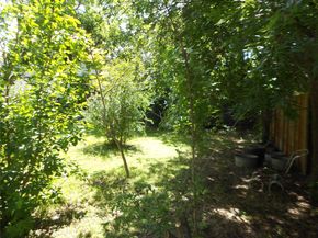 1405 Karen Ave, Austin TX 78757