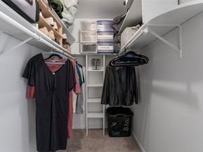 7303 Geneva DR, Austin TX 78723