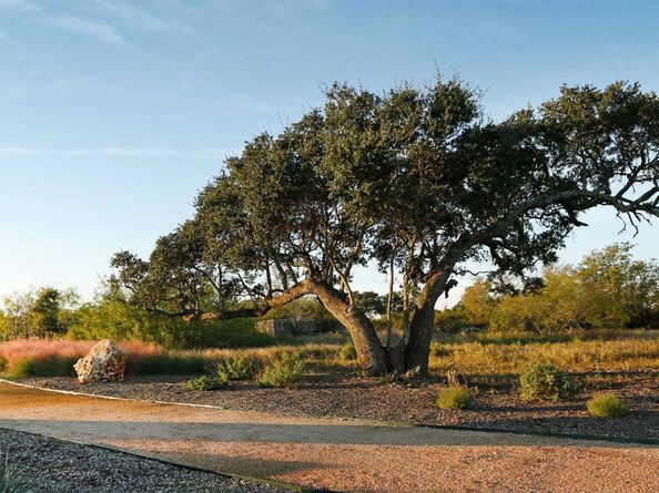 637 Hickory Bend RD, Georgetown TX 78628