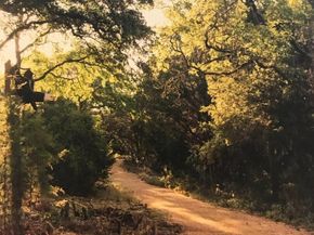 637 Hickory Bend RD, Georgetown TX 78628