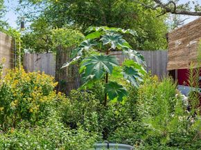 4607 Kitty Ave, Austin TX 78721