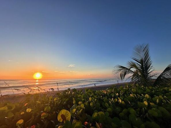 275 Palm Avenue Avenue C504, Jupiter FL 33477