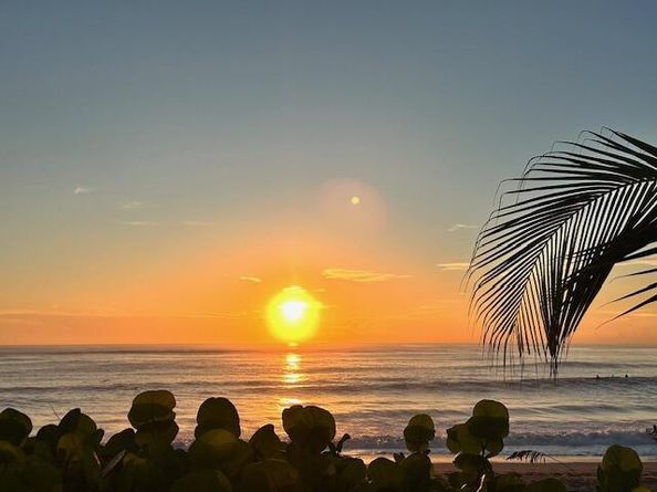 275 Palm Avenue Avenue C504, Jupiter FL 33477