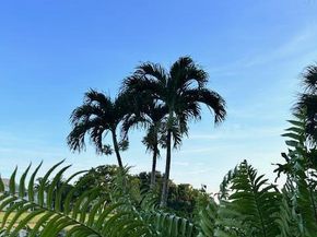 275 Palm Avenue Avenue C504, Jupiter FL 33477