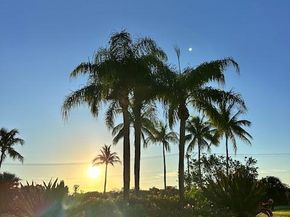 275 Palm Avenue Avenue C504, Jupiter FL 33477