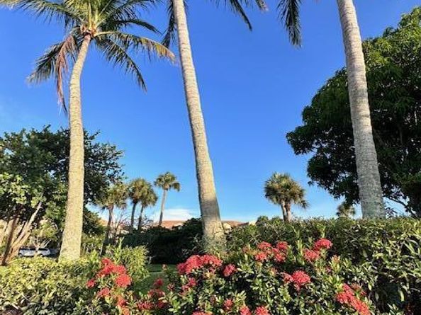 275 Palm Avenue Avenue C504, Jupiter FL 33477