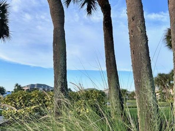275 Palm Avenue Avenue C504, Jupiter FL 33477