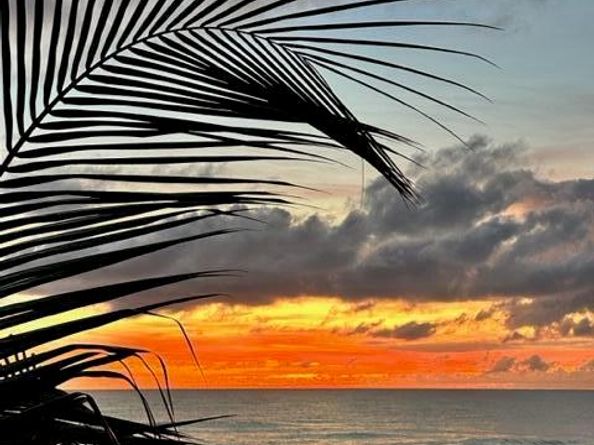 275 Palm Avenue Avenue C504, Jupiter FL 33477
