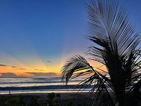 275 Palm Avenue Avenue C504, Jupiter FL 33477