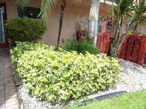 7320 Lake Circle Dr 101, Margate FL 33063