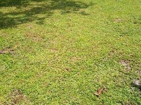1464 SW 28th Way, Fort Lauderdale FL 33312