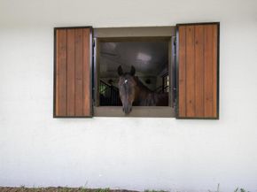 3442 C Road, Loxahatchee Groves FL 33470