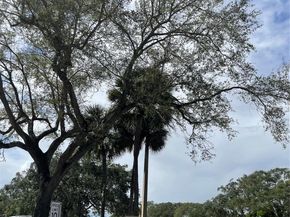 799 Riverside Dr 1023, Coral Springs FL 33071