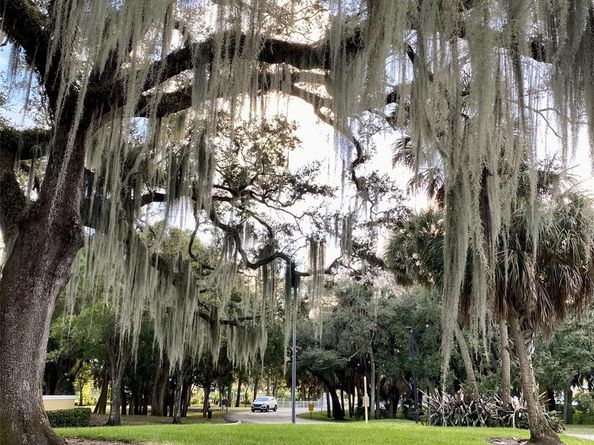 2400 NW 33rd St 1108, Oakland Park FL 33309