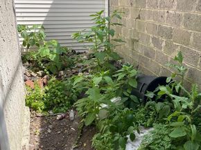 4602 Lancaster Avenue, Philadelphia PA 19131