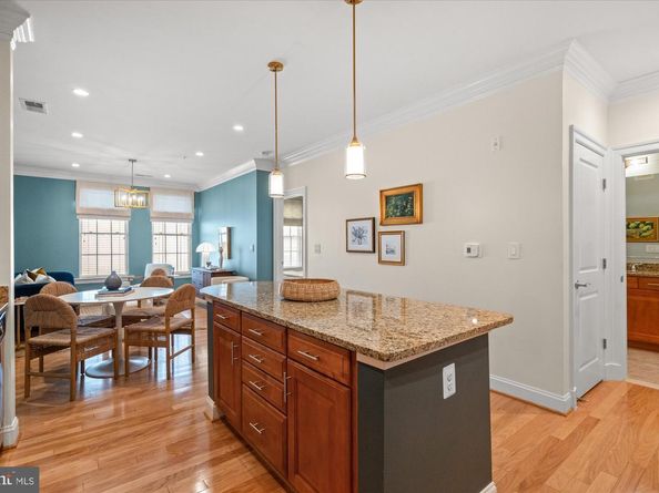 1023 N Royal Street 203, Alexandria VA 22314