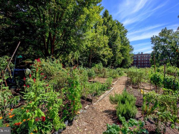 3031 Sedgwick Street NW 102E, Washington DC 20008
