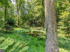 6615 and 6625 GREENHILL ROAD, Lumberville PA 18933