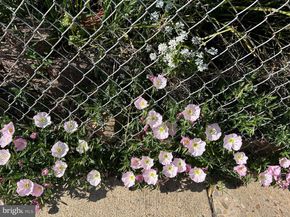 304 E Nelson Avenue, Alexandria VA 22301