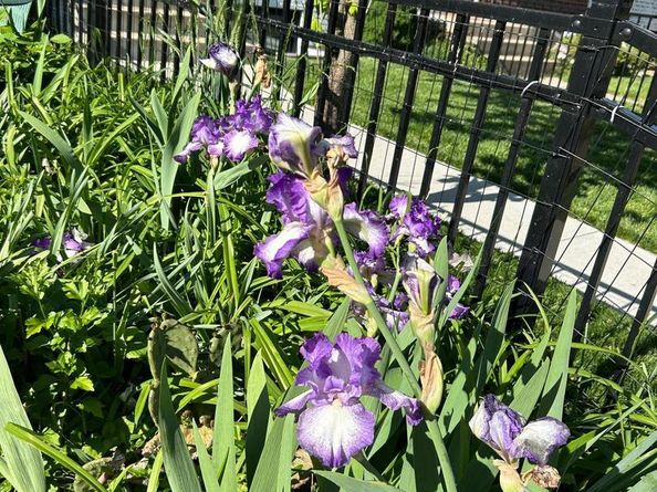 304 E Nelson Avenue, Alexandria VA 22301