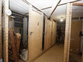 22 Llanfair Road 1, Ardmore PA 19003