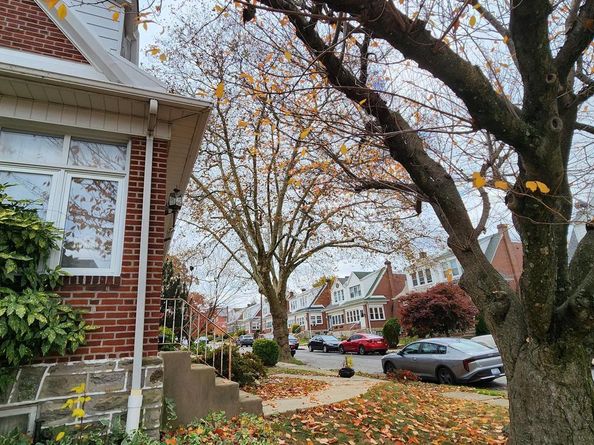 162 W Albemarle Avenue, Lansdowne PA 19050