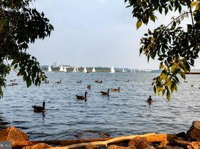 801 N Pitt Street 1708, Alexandria VA 22314