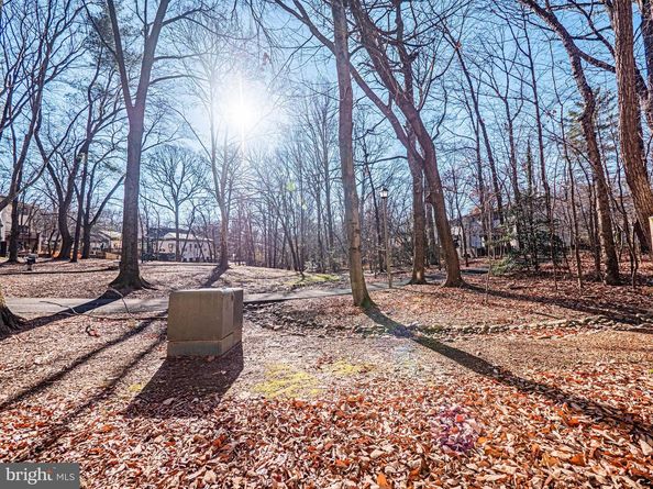 11879 Barrel Cooper Court, Reston VA 20191