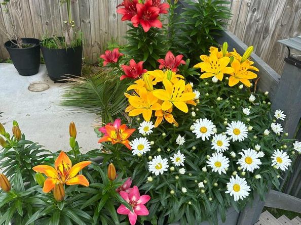 245 Trenton Road, Fairless Hills PA 19030