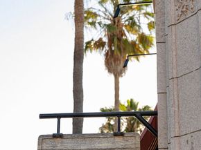 1113 ELECTRIC Avenue 1, Venice CA 90291