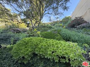 439 Mesa Road, Santa Monica CA 90402