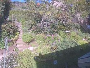 439 Mesa Road, Santa Monica CA 90402