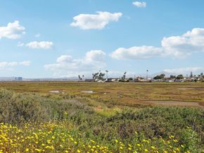 502 Surfbird Ln, Imperial Beach CA 91932