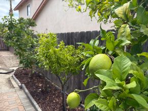 11368 Squamish Rd, San Diego CA 92126
